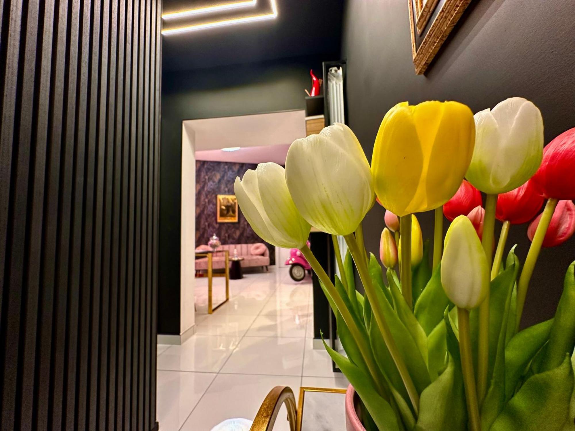 Elegance Rooms Spaccanapoli Екстер'єр фото